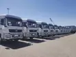 Brand New Shacman Trailer Heads for Sale - 4
