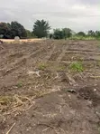 Land for Sale at Somaaya - 4