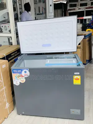 Nasco NAS250FL 200 Liters Grey Freezer