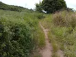18,000 Acres Farmland for Sale in KpareKpare, Krachi East - 2