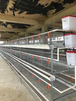 Poultry Equipment: Cages & Feeders