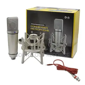 Neumann U87 Large Capsule Condenser Microphone