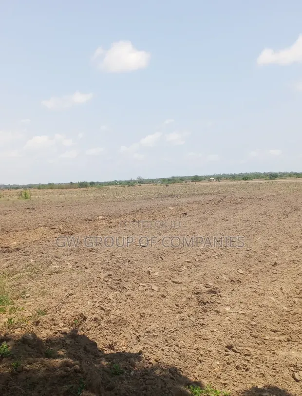 Easy Payment Plan Land for Sale in Sege - 1