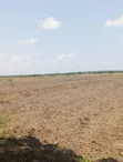 Easy Payment Plan Land for Sale in Sege - 1