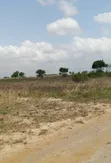 Easy Payment Plan Land for Sale in Sege - 2