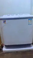 10kg Twin-Tub Washing Machine with Spin-Dry & Blue Light Sterilization - 1