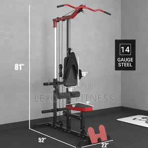 Into Wellness Lat Pulldown / Seated Row PF 1004