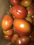 Farm Fresh Cherry Tomatoes (200 in Carton) - 5