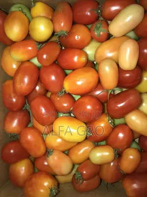 Farm Fresh Cherry Tomatoes (200 in Carton)