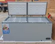Nexus 560-Litre Double Door Chest Freezer (NX-FX-695 E) - 1