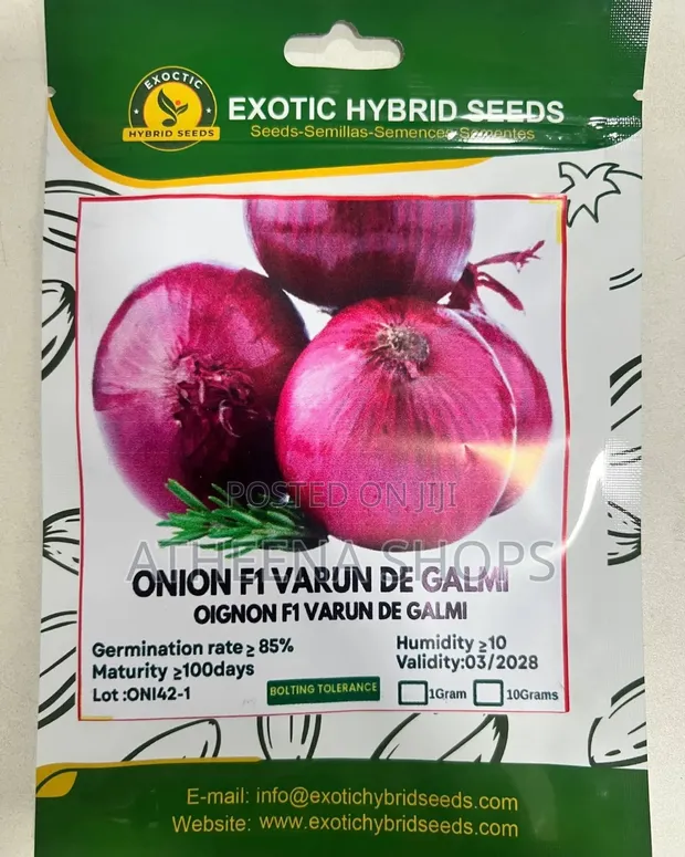 High Yielding Onion Seeds - 1