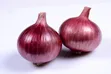 High Yielding Onion Seeds - 2