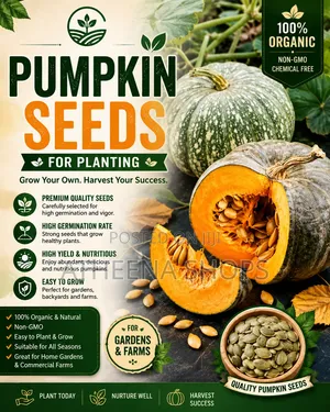 Organic Pumpkin Seeds
