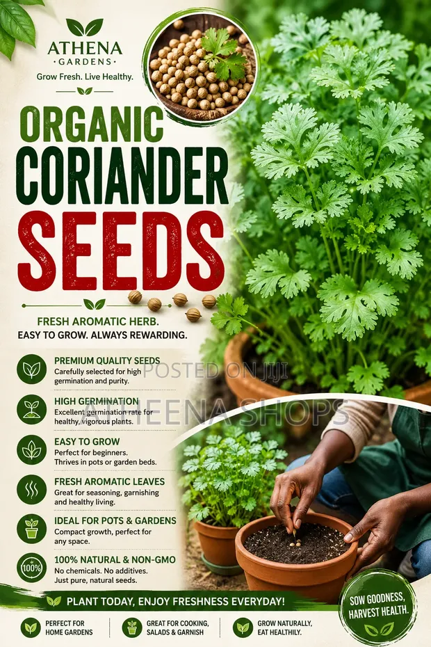 Organic Coriander Seeds - 1