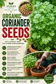 Organic Coriander Seeds - 1