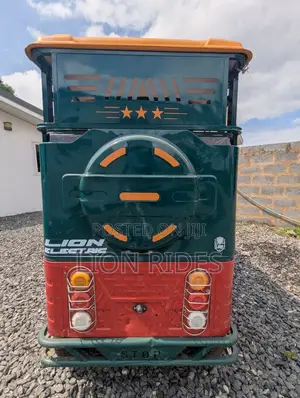 Brand New Green Electric Tricycle - 2026 Model