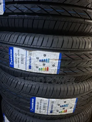 245/70R16 111H Roadking Tires