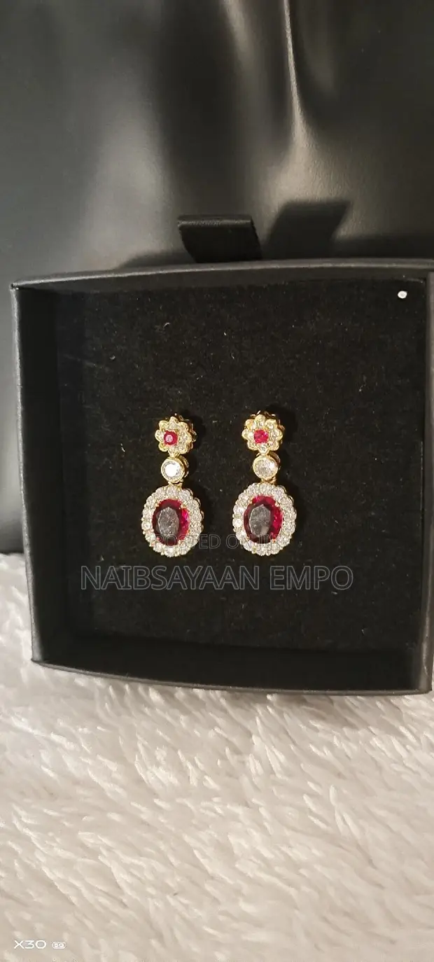 Women's Exquisite Zircon Earrings - 1