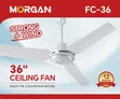 36-inch Ceiling Fan - 2