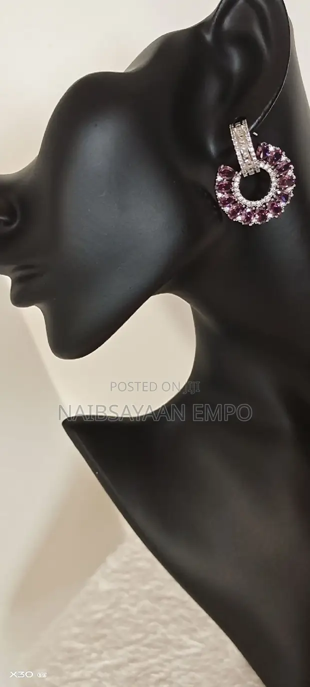 High-End Luxury Zirconia Women's Earrings - 1