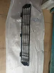Toyota Camry 2010-2011 Down Grille - 2