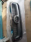 Toyota Hilux 2005-2010 Top Grille/Shells - 1