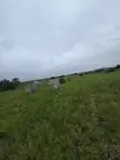 Dawhenya Residential Land - Half Plot - 1