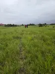 Dawhenya Residential Land - Half Plot - 2