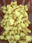 Multipurpose Stainless Steel Commercial Ginger and Potatoes Peeler - 1
