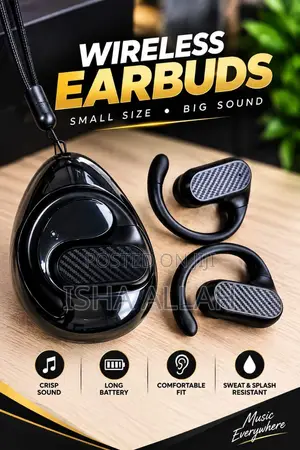 PowerBeat Flex Earbuds