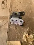 Toyota Corolla Engine Mount - 2