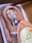 Brand New Pregnancy Obstetric Training Birth Manikin - 3