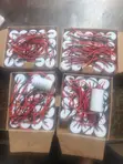Crompton Ceiling Fans - 1