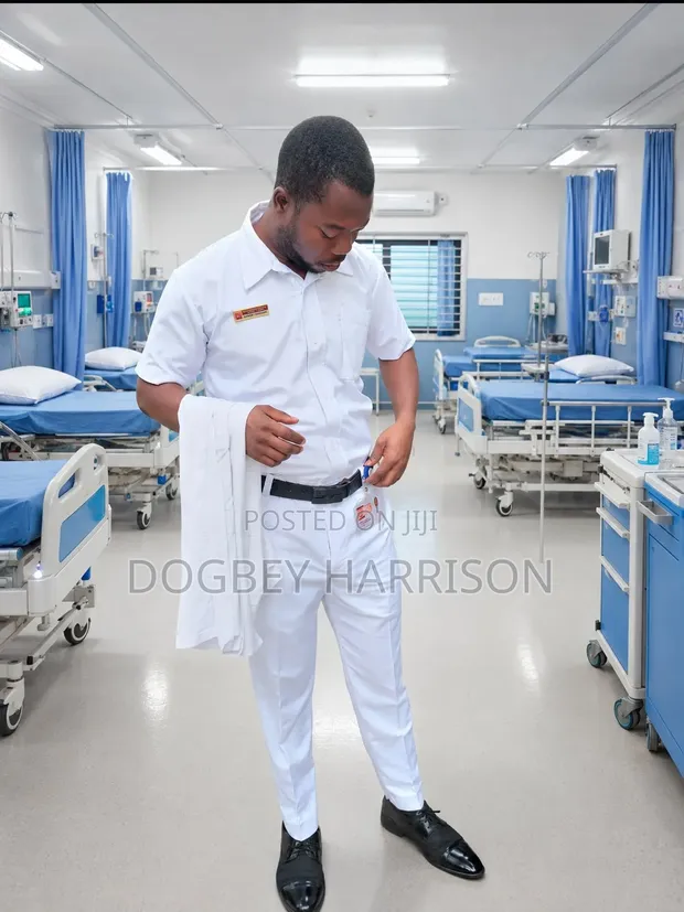 Mr Harrison Dogbey - Housekeeping & Cleaning CV - 1