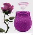 Rose G Spot Vibrator Intimate Sucker - 2