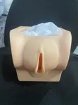 Advanced Female Contraceptive Practice Model - 1