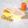 Silicone Freezer Tray for Soup/Stew (1000ml) - 4