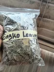 Ginkgo Biloba Leaves - 1