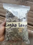 Ginkgo Biloba Leaves - 2