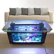 Center Table Aquarium - 1