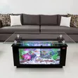 Center Table Aquarium - 2