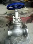 2" Stainless Steel Globe Valve 150lbs - 1