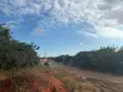 Land for Sale at Borteyman - 3