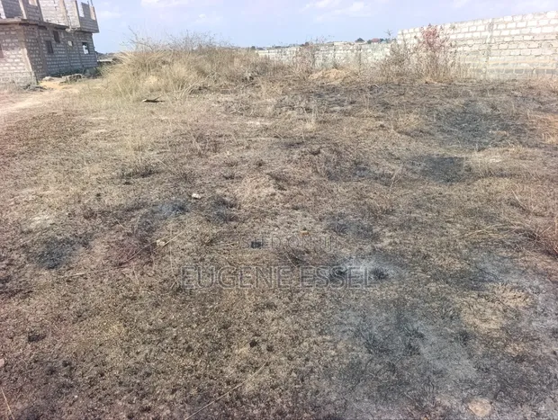 Half Plot of Land for Sale at Katamanso - 1