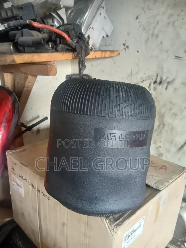 Bus Air Suspension Bag (Air Lotah) - 1