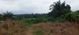 Plot of Land for Sale in Kwabere Kasaam - 3
