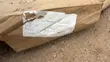 Honda Fit 2009-2014 Fender - 3