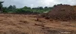 One and Half Plot of Land for Sale at Kwabere Kasaam - 4