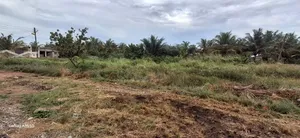 1 Plot of Land for Sale at Amrahia