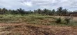 1 Plot of Land for Sale at Amrahia - 2